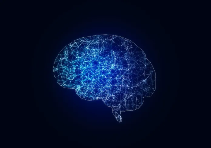 brain